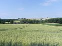 TT Steinhaus_008